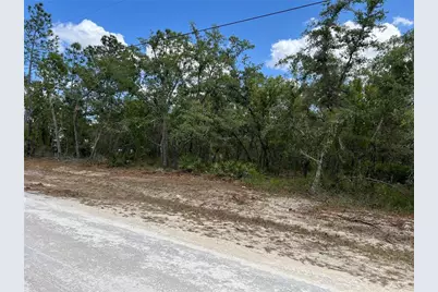 Sage Thrasher Ave, Weeki Wachee, FL 34614 - Photo 2