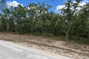 Sage Thrasher Ave, Weeki Wachee, FL 34614 - Photo 1