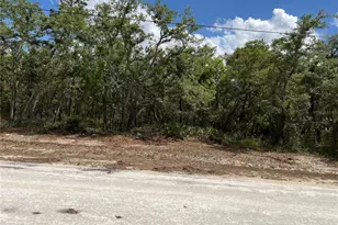 Sage Thrasher Ave, Weeki Wachee, FL 34614 - Photo 1