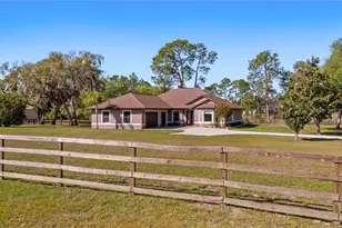 21328 Marsh View Ct, Clermont, FL 34715 - Photo 2