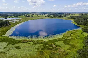 26833 Anderson Ranch Rd, Yalaha, FL 34797 - Photo 38