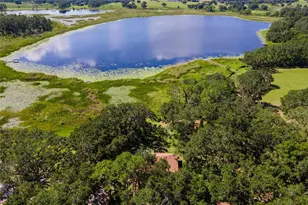 26833 Anderson Ranch Rd, Yalaha, FL 34797 - Photo 4