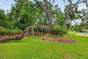 33746 Spring Dr, Leesburg, FL 34788 - Photo 60