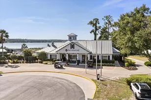 29901 Osprey Ct, Tavares, FL 32778 - Photo 26