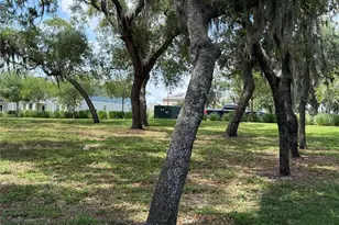 17090 Harbor Oak Pkwy, Winter Garden, FL 34787 - Photo 28