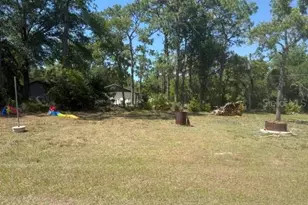 40145 W 7th Ave, Umatilla, FL 32784 - Photo 36