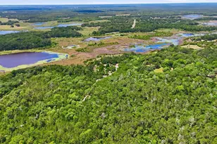 16050 SE 275th Ave, Umatilla, FL 32784 - Photo 8