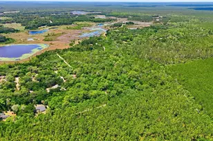 16050 SE 275th Ave, Umatilla, FL 32784 - Photo 12