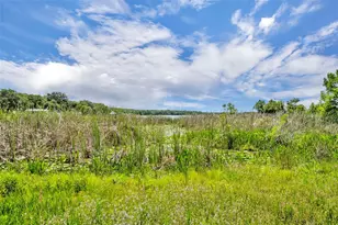 13450 SE 105th Terrace, Ocklawaha, FL 32179 - Photo 42