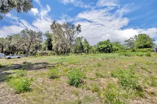 13450 SE 105th Terrace, Ocklawaha, FL 32179 - Photo 46