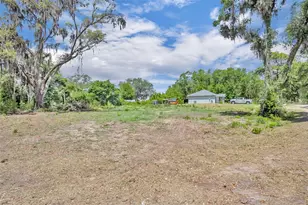 13450 SE 105th Terrace, Ocklawaha, FL 32179 - Photo 46
