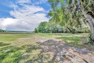 13450 SE 105th Terrace, Ocklawaha, FL 32179 - Photo 40