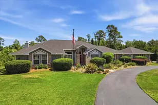 15241 Shady Ln, Tavares, FL 32778 - Photo 8