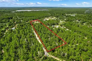 26106 Fishermans Rd, Paisley, FL 32767 - Photo 2
