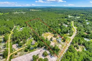 26106 Fishermans Rd, Paisley, FL 32767 - Photo 6