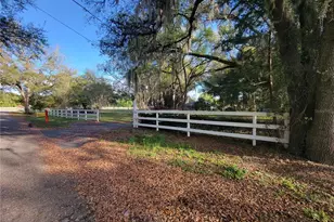 8028 SE 129 Pl, Summerfield, FL 34491 - Photo 8