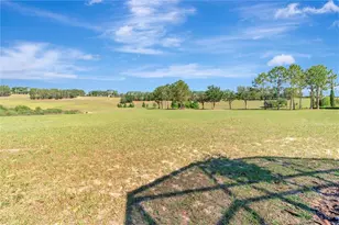 3626 Solana Cir, Clermont, FL 34711 - Photo 38