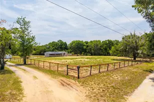 40100 Jim Scotts Rd, Leesburg, FL 34788 - Photo 6