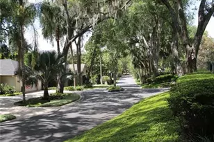 631 Sand Lake Ct, Mount Dora, FL 32757 - Photo 28
