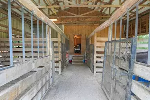 4801 SE Hwy 42, Summerfield, FL 34491 - Photo 38