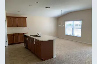 27215 Roanoke Drive, Leesburg, FL 34748 - Photo 4