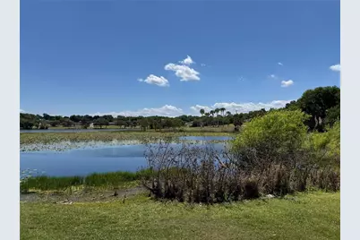 708 E Lemon Avenue, Eustis, FL 32726 - Photo 66