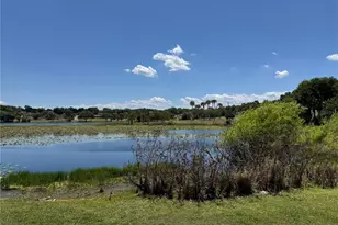 708 E Lemon Ave, Eustis, FL 32726 - Photo 66