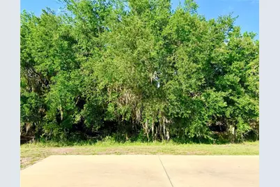 4933 SE 92nd Boulevard, Webster, FL 33597 - Photo 6