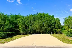 4933 SE 92nd Blvd, Webster, FL 33597 - Photo 1