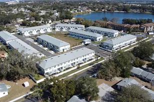 1019 E Caroline St, Tavares, FL 32778 - Photo 4