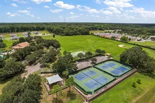 5354 Travertine St, Mount Dora, FL 32757 - Photo 38