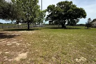 41430 Roger Giles Rd, Umatilla, FL 32784 - Photo 4