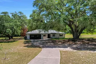 17373 SE 130th Ave, Weirsdale, FL 32195 - Photo 6