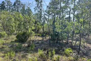 NE 151st Ave, Williston, FL 32696 - Photo 1