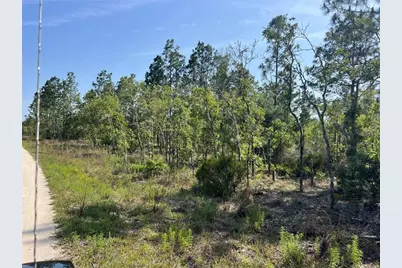 Ne 151st Avenue, Williston, FL 32696 - Photo 2