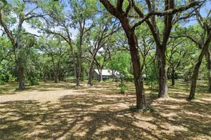 1153 Cr 722, Webster, FL 33597 - Photo 66