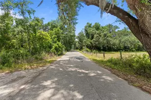 1153 Cr 722, Webster, FL 33597 - Photo 8