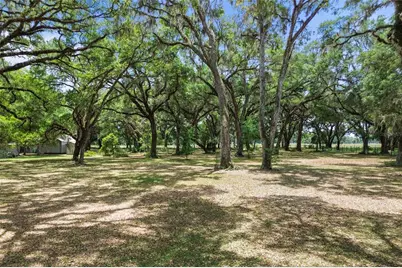 1153 Cr 722, Webster, FL 33597 - Photo 72