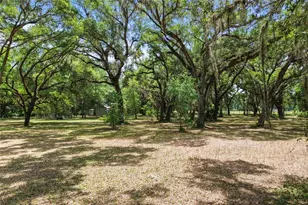 1153 Cr 722, Webster, FL 33597 - Photo 68