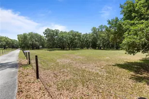 1153 Cr 722, Webster, FL 33597 - Photo 10