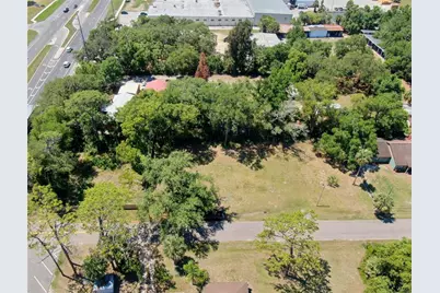 Lot 00200 Lenord Street, Umatilla, FL 32784 - Photo 4