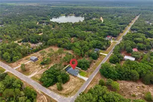 141 Fisher Way, Ocklawaha, FL 32179 - Photo 48