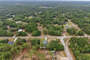 141 Fisher Way, Ocklawaha, FL 32179 - Photo 48