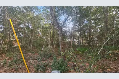 W Seventh Avenue, Umatilla, FL 32784 - Photo 6