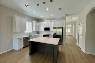 24345 Amberleaf Ct, Leesburg, FL 34748 - Photo 2