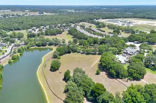 21345 Sullivan Ranch Blvd, Mount Dora, FL 32757 - Photo 48