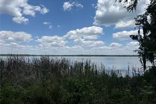4232 Cr 400, Lake Panasoffkee, FL 33538 - Photo 24