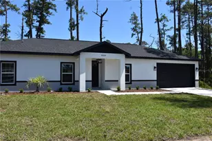 20150 Willow Circle, Mount Dora, FL 32757 - Photo 1