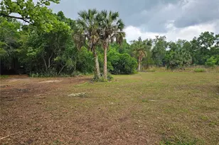 10679 Goose Prairie Rd, Leesburg, FL 34788 - Photo 6