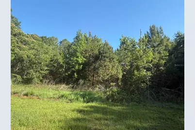 9845 NW 160th Street, Reddick, FL 32686 - Photo 8